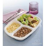 Bandeja Galvonotek 3 Divisoria G331 850ML C/Tampa C/100 UND