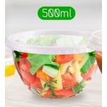 Pote Plástico PP Bowl Prafesta com Sobretampa 500ml c/12x20 und