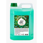 Sabonete Liq 5L Premisse Requinte Erva-Doce (Espuma)