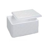 Caixa de EPS (Isopor) Sorvete 0,4L c/100 und