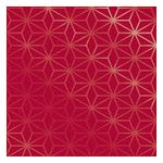 SACO PARA PRESENTE CROMUS 25X37CM STAR VERMELHO-50