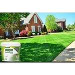 Adubo Para Grama -Fertilizante Gramados Forth Foliar 3kg