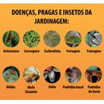  Fungidex- Mata Pragas