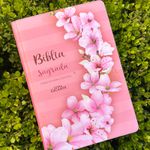 Biblia Sagrada Ramos Flores