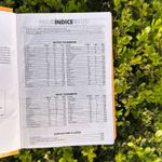 Bíblia Sagrada Infantil - Leão de Judá