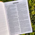 Bíblia Sagrada Infantil - Leão de Judá