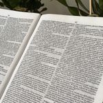 Bíblia Sagrada Leão PB