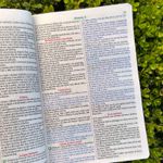 Biblia Sagrada Ramos Flores