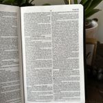 Bíblia Sagrada Leão PB