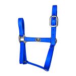 Cabresto Silicone - Azul Royal Boost Horse