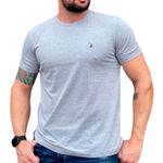 Camiseta Masculina Austin - Cinza