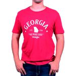Camiseta Masculina Wrangler Georgia - Vinho