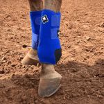 Caneleira Azul - Aviventa