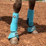 Caneleira Turquesa - Aviventa