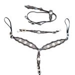 CONJUNTO CABEÇADA PEITEIRA LEVANTADOR PROTEC HORSE MARGARIDA STRAS E TACHA