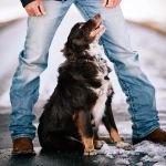 Calça Ariat Jeans Masculina M2 Shasta Traditional Relaxed Boot Cut