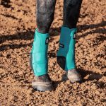 Caneleira Dianteira Legacy² Aqua #CLS102AQM - Classic Equine