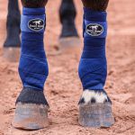 Liga All Around Todas As Cores - Boots Horse
