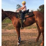 Suporte Infantil - Boots Horse - Azul Royal