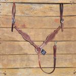 Peiteira de Couro Boots Horse Bordada Estreita Tambor #8551 - 570,00