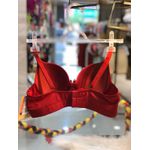 Sutiã Copa Em Microfibra Rubi com Bojo 42 e Aro