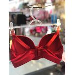 Sutiã Microfibra Copa Vermelho Rubi (46)