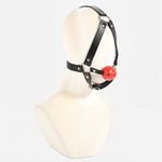 Hard - Mordaça Com Bola e Suporte De Cabeça