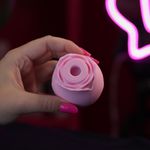 Flower - Rosa Sugadora