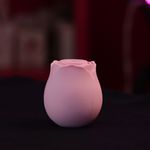 Flower - Rosa Sugadora