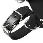 Kit De Algema Com Coleira Sado