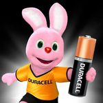 PILHA ALCALINA AA 2X1 DURACELL