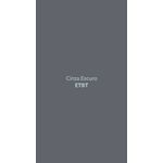 ESMALTE SINTÉTICO CINZA ESCURO 3,6 LITROS LS019-LTGL LUZTOL