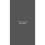 TINTA PISO CINZA CHUMBO 18 LITROS 480.44-BD18 LUZTOL