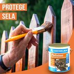 VERNIZ POLISTEN TRANSPARENTE 900ML SAYERLACK