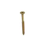 PARAFUSO PHILIPS AM 6.0X70 BELENUS