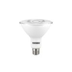 LÂMPADA LED PAR38 14W 2700K BIVOLT BRANCO 9072 TASCHIBRA