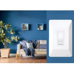 INTERRUPTOR PARALELO PLACA 10A 250V 0941 FAME