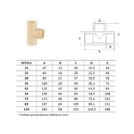 CPVC TE FFF DN22 20298 AMANCO