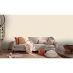 TINTA RENDE MUITO PALHA 16 LTS 5763558 CORAL