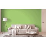 TINTA ECONÔMICA IPANEMA VERDE CANA 3,6 LTS ACRILPLUS