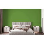 TINTA ECONÔMICA IPANEMA VERDE MUSGO 18 LTS 150026 ACRILPLUS