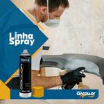 TINTA COLLOR SPRAY ALTA TEMPERATURA CIACOLLOR - DIVERSAS CORES