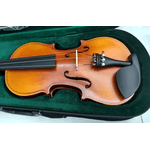 Violino 3/4 Hoyden