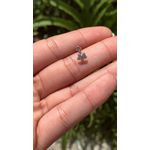 Pircing flor trágus 
