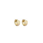 Brinco Argola Cravejada Zircônia Banhado A Ouro 18K