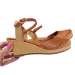Anabela Camel Ouro Ref. 09431.09981