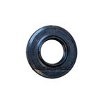 01245-BRG - RETENTOR GBR 20x40x6