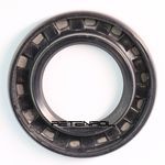 01604-BRG - RETENTOR ARCA 25x42x6