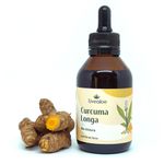 Cúrcuma Longa Bio Tintura de Açafrão da Terra 100ml