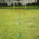Cone Liso Verde - Consport